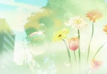 cityscapes flowers bubbles dreamy 1920x1200 wallpaper Art HD Wallpaper